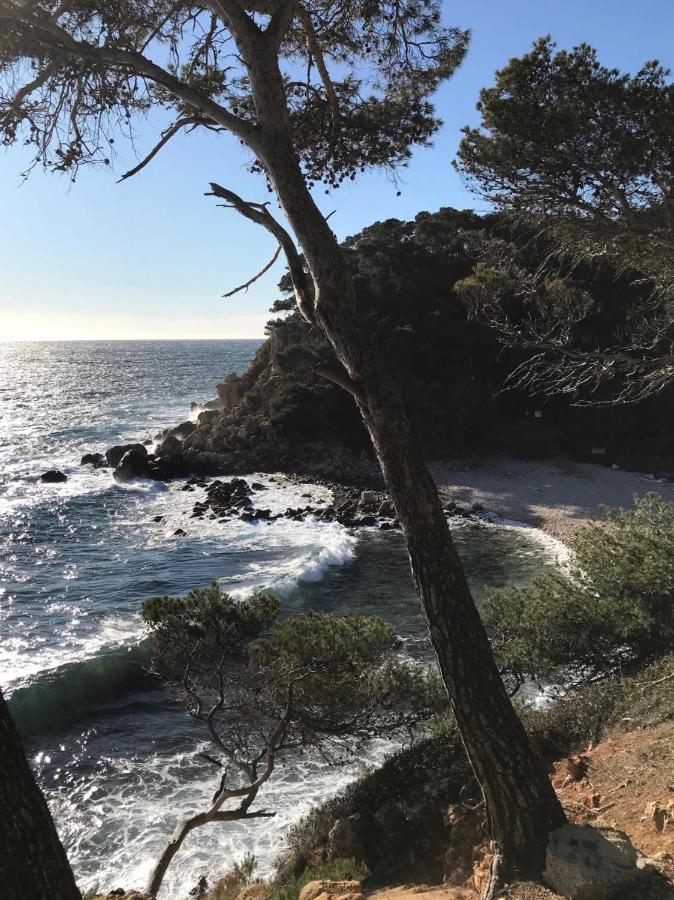 Villa Lucienne Bandol , T2 4 Etoiles Avec Garage, Dans Les Calanques Bagian luar foto