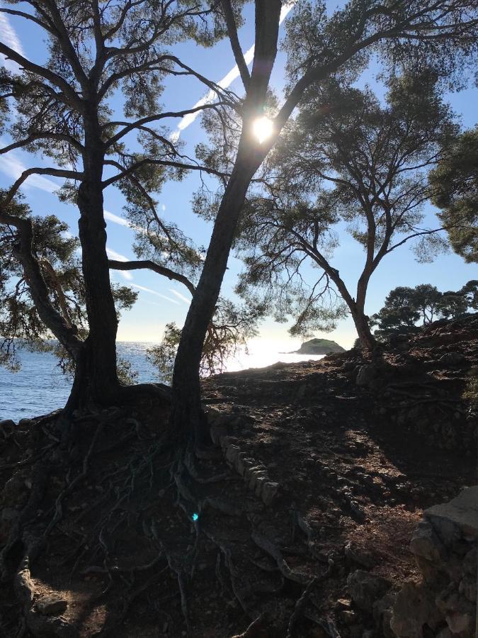 Villa Lucienne Bandol , T2 4 Etoiles Avec Garage, Dans Les Calanques Bagian luar foto